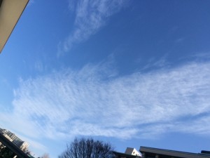 1月3日　ラッキー空へ帰る③ (2)